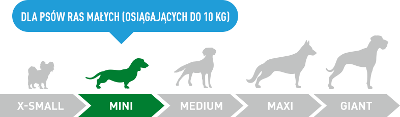 main-section-graphic