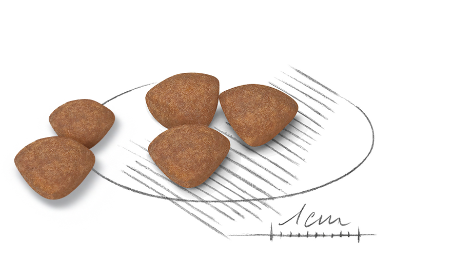 kibble-size
