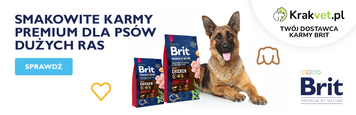 Brit