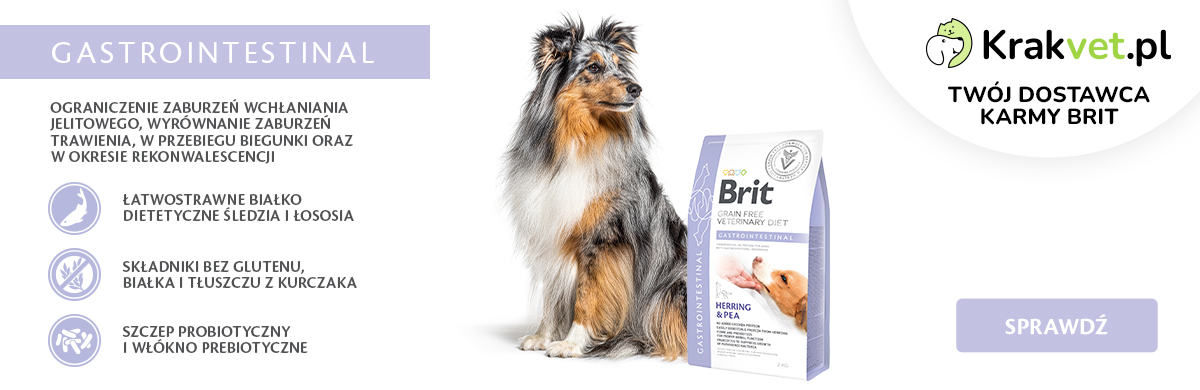 Brit