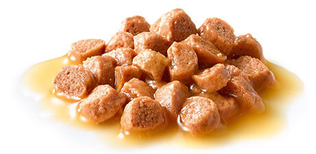 gravy