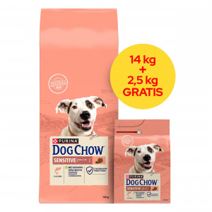 PURINA Dog Chow Sensitive Salmon - suché krmivo pro psy - 14 + 2,5kg