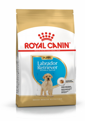 ROYAL CANIN SHN Breed Labrador Junior suché krmivo pro psy - 12 kg.