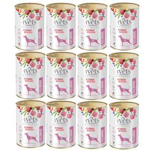 4VETS Natural Diabetes Dog - vlhké krmivo pro psy - 12x400g
