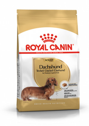 ROYAL CANIN Dachshund Adult - suché krmivo pro psy - 7,5 kg