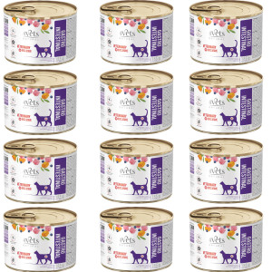  4VETS Natural Gastro Intestinal Cat - vlhké krmivo pro kočky - 12x185g