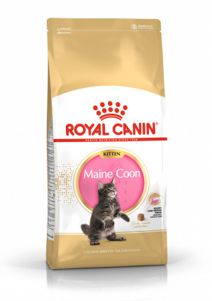 ROYAL CANIN Maine Coon Kitten - suché krmivo pro kočky - 2 kg 