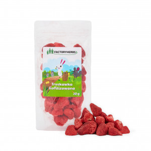 FACTORY HERBS Freeze-dried strawberries - lahůdka pro hlodavce a králíky - 20g