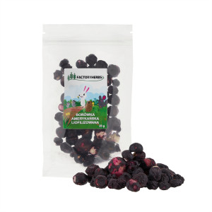 FACTORY HERBS Freeze-dried blueberries - lahůdka pro hlodavce a králíky - 10g