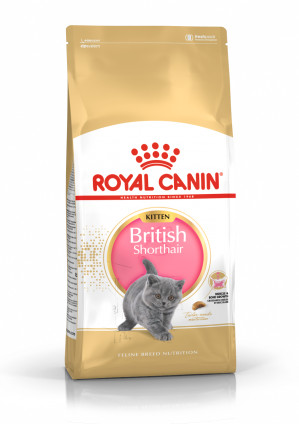 Royal Canin British Shorthair Kitten suché krmivo pro kočky 2 kg Kotě Drůbež, Rýže, Zeleninová