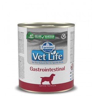 FARMINA Vet Life Gastrointestinal – mokré krmivo pro dospělé psy 300g