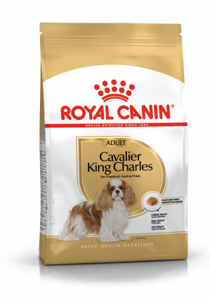 Krmivo Royal Canin SHN Breed Cavalier K C 1,5 kg 
