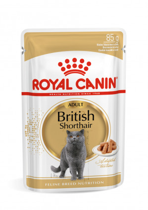 ROYAL CANIN British Shorthair balení 12x85g 