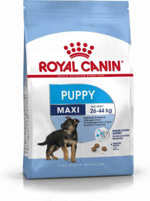 Royal Canin SHN Maxi Puppy - suché krmivo pro štěňata - 4kg 