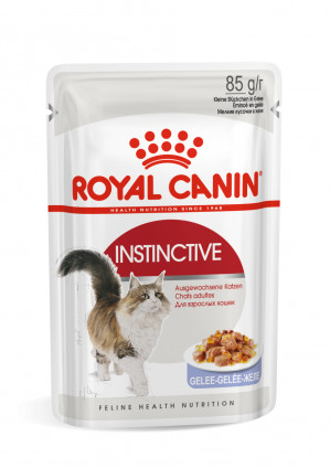 ROYAL CANIN FHN Instinctive v želé - vlhké krmivo pro dospělé kočky - 12x85g 