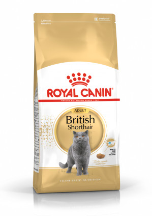 Royal Canin British Shorthair Adult suché krmivo pro kočky 4 kg Dospělý jedinec