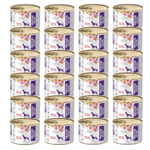 4VETS Natural Gastro Intestinal Dog - mokré krmivo pro psy - 24x185g