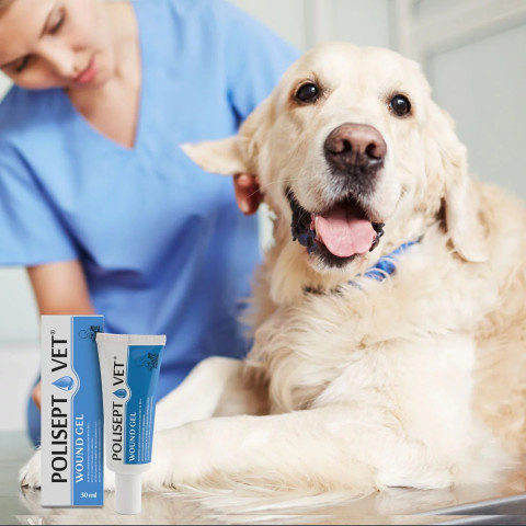 JM SANTE Polisept Vet Wound gel - gelový obvaz pro psy a kočky – 30 ml - Fotogalerie 2
