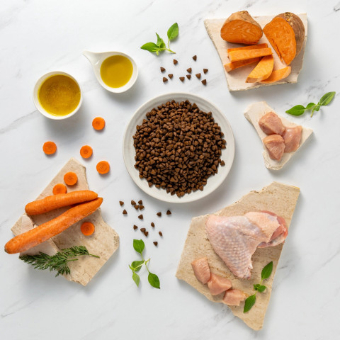 RAW PALEO Ultra Mini Adult Turkey - suché krmivo pro psy - 2 kg - Fotogalerie 3