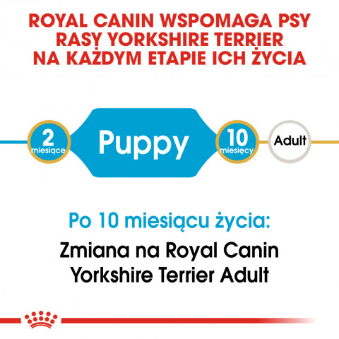 ROYAL CANIN Yorkshire Terrier Puppy - suché krmivo pro psy - 1,5 kg - Fotogalerie 6