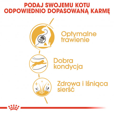 Royal Canin Bengal Adult suché krmivo pro kočky 2 kg Dospělý jedinec Drůbež, Zeleninová - Fotogalerie 6