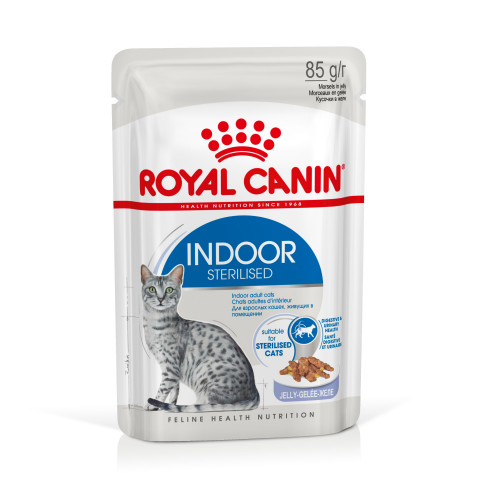 ROYAL CANIN FHN Indoor jelly - vlhké krmivo pro dospělé kočky - 12x85g - Fotogalerie 2
