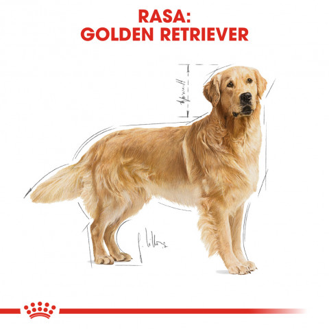 ROYAL CANIN BHN Golden Retriever suché krmivo pro psy - 12kg - Fotogalerie 7