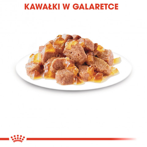 ROYAL CANIN FHN Instinctive v želé - vlhké krmivo pro dospělé kočky - 12x85g - Fotogalerie 3