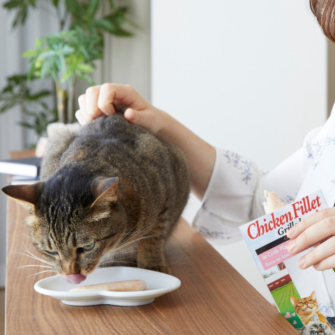 INABA Grilled Chicken Fillet in chicken flavored broth - pamlsek pro kočky - 25 g - Fotogalerie 4