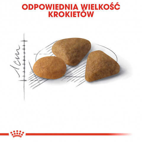 ROYAL CANIN Savour Exigent Adult - suché krmivo pro kočky - 400g - Fotogalerie 3