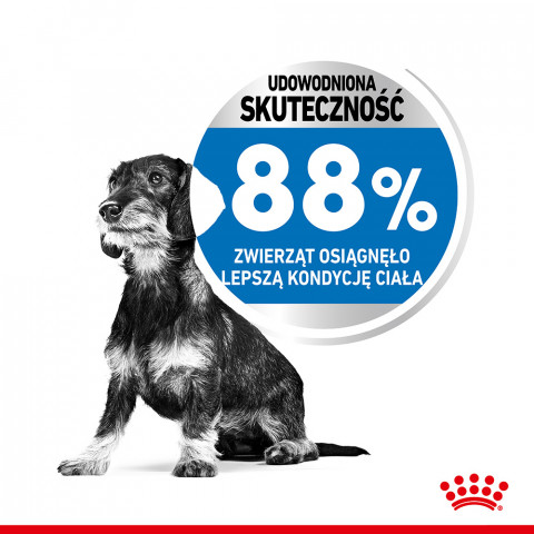 Royal Canin CCN MINI LIGHT WEIGHT CARE - suché krmivo pro dospělé psy - 3kg - Fotogalerie 10