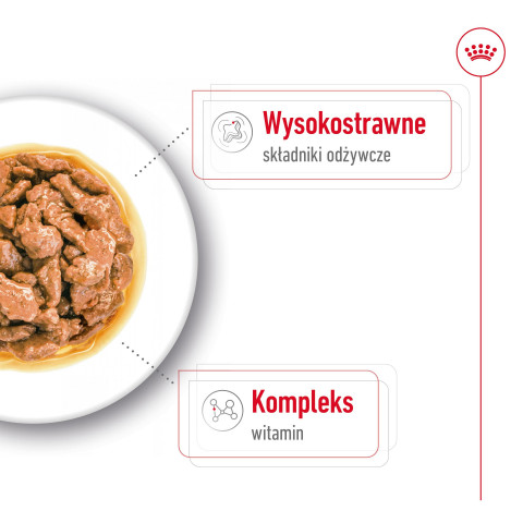 ROYAL CANIN Mini Adult - mokré krmivo pro psy - 12 x 85g - Fotogalerie 3