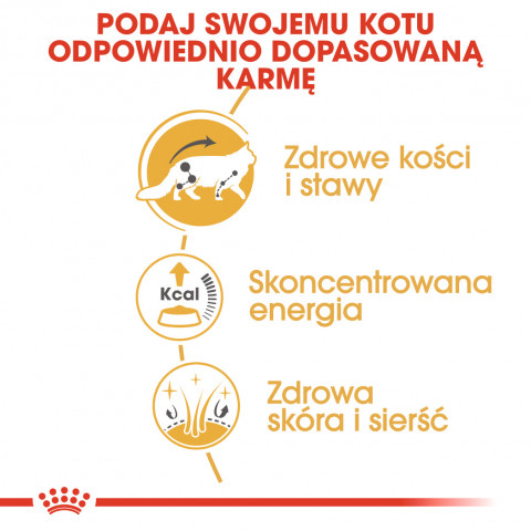 ROYAL CANIN FBN Maine Coon - Mokré krmivo pro kočky - sáček 12x 85g - Fotogalerie 4