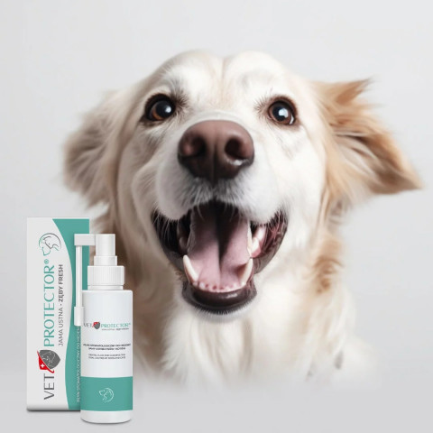 JM SANTE Vet Protector Fresh - stomatologický roztok pro hygienu dutiny ústní u psů a koček – 100 ml - Fotogalerie 2