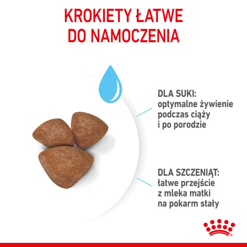ROYAL CANIN SHN Mini Starter Mother & Babydog - suché krmivo pro psy - 4 kg - Fotogalerie 12