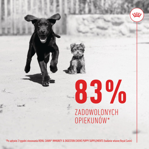 ROYAL CANIN Supplements Dog Immunity & Digest Puppy - vitamíny pro psa - 100g - Fotogalerie 9