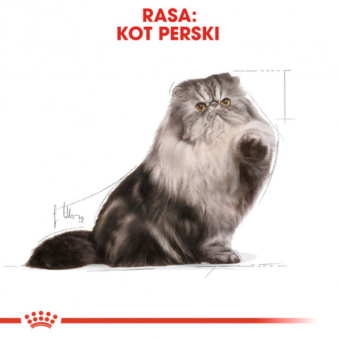 Royal Canin Persian suché krmivo pro kočky 4 kg Dospělý jedinec Kukuřice, Drůbež - Fotogalerie 11