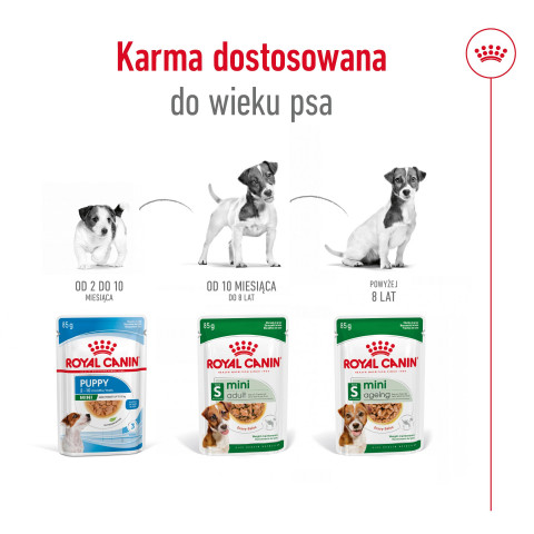 ROYAL CANIN Mini Ageing - mokré krmivo pro psy - 12 x 85g - Fotogalerie 5