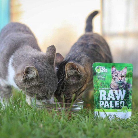 RAW PALEO Adult Cat Sterilized Venison - mokré krmivo pro kočky - 100 g - Fotogalerie 3