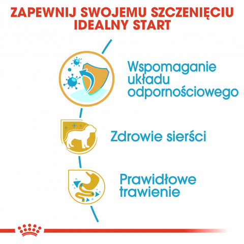 ROYAL CANIN Yorkshire Terrier Puppy - suché krmivo pro psy - 1,5 kg - Fotogalerie 4