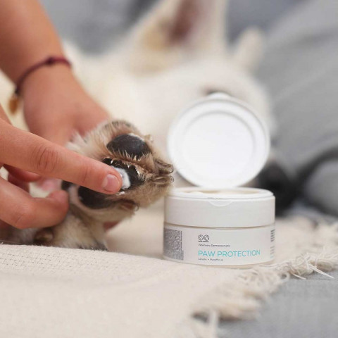 VET EXPERT Paw Protection - ochranná mast na tlapky pro psy a kočky - 75 ml - Fotogalerie 2