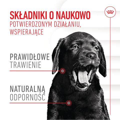 ROYAL CANIN Supplements Dog Immunity & Digest Puppy - vitamíny pro psa - 100g - Fotogalerie 10