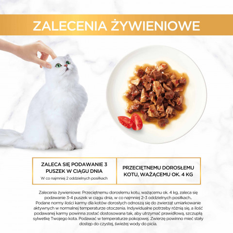 Purina GOURMET Gold 85 g - Fotogalerie 8