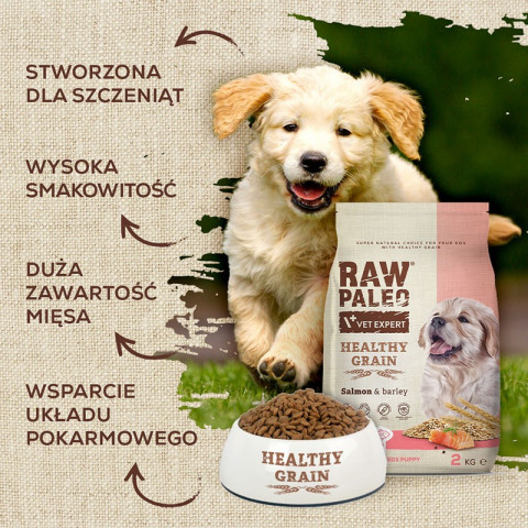 Raw Paleo Healthy Grain Puppy Losos a ječmen - suché krmivo pro psy - 10 kg - Fotogalerie 3
