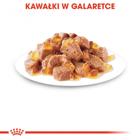 ROYAL CANIN FHN Ageing 12+ v želé - vlhké krmivo pro kočky - 12X85g - Fotogalerie 5