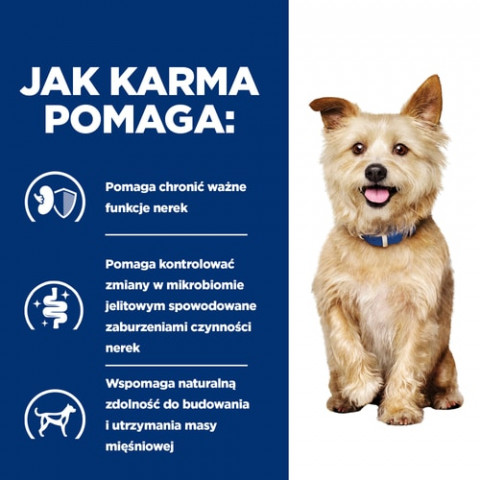 HILL'S Prescription Diet Kidney Care Canine k/d - suché krmivo pro psy - 12 kg - Fotogalerie 3