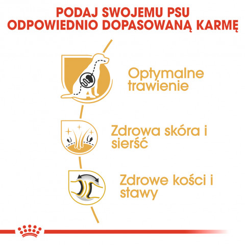 ROYAL CANIN BHN Německý ovčák - suché krmivo pro dospělé psy - 11kg - Fotogalerie 5