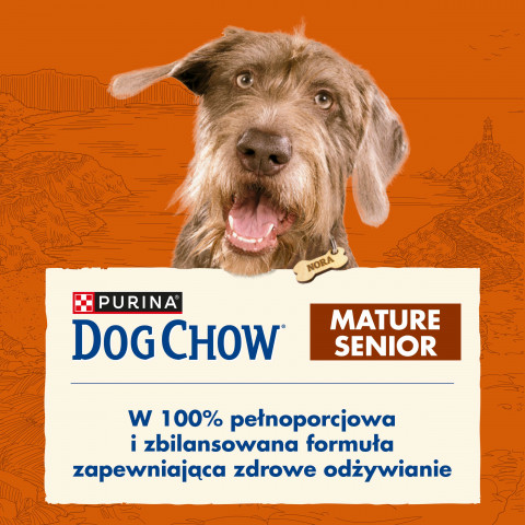 PURINA Dog Chow Mature Senior s jehněčím - suché krmivo pro psy - 14 kg - Fotogalerie 7