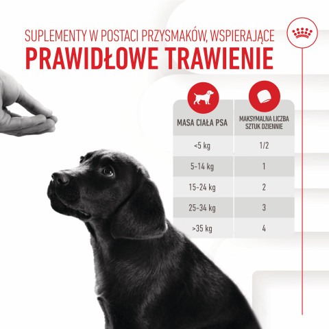 ROYAL CANIN Supplements Dog Immunity & Digest Puppy - vitamíny pro psa - 100g - Fotogalerie 14