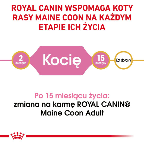 ROYAL CANIN Maine Coon Kitten - suché krmivo pro kočky - 2 kg - Fotogalerie 9